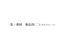 第4课时 栽蒜苗（二）-北师大版数学四年级下册