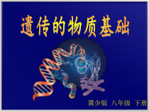 《第一节 遗传》PPT课件1-冀少儿版生物八年级下册