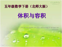 北师大版数学五年级下册2.1《体积与容积》PPT课件(5) (共13页)