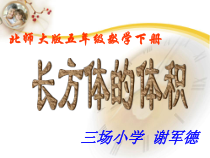 北师大版数学五年级下册4.2《体积单位》PPT课件