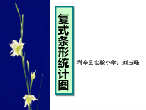 北师大版数学五年级下册8.1《复式条形统计图》PPT课件(共12页)