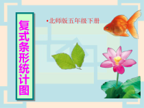 北师大版数学五年级下册8.1《复式条形统计图》PPT课件(共17页)