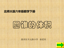 北师大版数学六年级下册1.4《圆锥的体积》PPT课件(共111页)