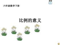 北师大版数学六年级下册2.1《比例的认识》PPT课件(共27页)
