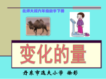 北师大版数学六年级下册4.1《变化的量》PPT课件(共20页)