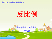 北师大版数学六年级下册4.4《反比例》PPT课件(21)(共15页)