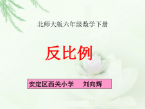 北师大版数学六年级下册4.4《反比例》PPT课件（共22页）