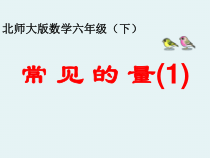 北师大版数学六年级下册-总复习《常见的量(1)》PPT课件(共15页)