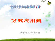 北师大版数学六年级下册-总复习《分数应用题》PPT课件(共14页)