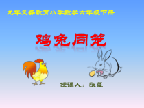 北师大版数学六年级下册-总复习《鸡兔同笼》PPT课件(共16页)