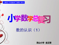 北师大版数学六年级下册-总复习《数的认识（1）》PPT课件(共20页)