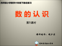 北师大版数学六年级下册-总复习《数的认识》PPT课件(4) (共49页)