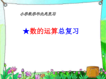 北师大版数学六年级下册-总复习《数的运算》PPT课件(共42页)