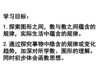北师大版数学六年级下册-总复习《探索规律》PPT课件(10) (共13页)