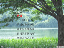 北师大版数学六年级下册-总复习《探索规律》PPT课件(1) (共20页)
