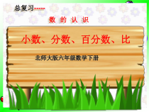 北师大版数学六年级下册-总复习《小数 分数 百分数 比》PPT课件(共16页)