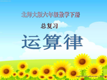 北师大版数学六年级下册-总复习《运算律》PPT课件(共19页)