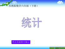 北师大版数学六下-总复习《统计》PPT课件(共28页)