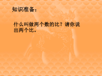 北师大版数学六下-总复习《图形的放大和缩小》PPT课件. (共16页)