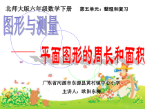 北师大版数学六下-总复习《图形与测量 平面图形的周长和面积》PPT课件(共26页)