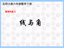 北师大版数学六下-总复习《整理与复习 线与角》PPT课件(共19页)