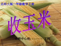 北师大版数学一年级下册《收玉米》PPT课件1
