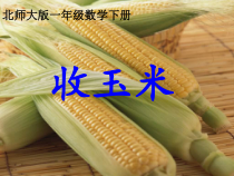 北师大版数学一年级下册《收玉米》PPT课件2