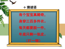 北师大版数学三年级上册《看日历》PPT课件1
