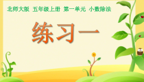 北师大版数学五年级上册《练习一》PPT课件