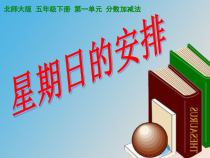 北师大版数学五年级下册《星期日的安排》PPT课件3