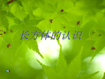 北师大版数学五年级下册《长方体的认识》PPT课件1