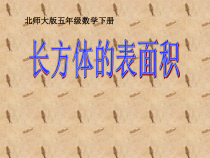 北师大版数学五年级下册《长方体的表面积》PPT课件1