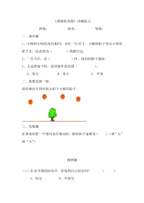 北师大版数学六年级上册《观察的范围》课后习题1