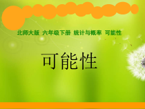 北师大版数学六年级下册《可能性》PPT课件1