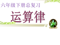 北师大版数学六年级下册《数的运算》PPT课件1