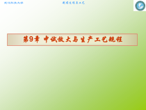 第9章-中试放大与生产工艺规程课件