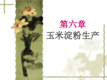 6-玉米淀粉生产1汇总课件