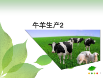 17G牛羊生产学课件2