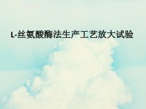 L-丝氨酸酶法生产工艺放大试验_8课件