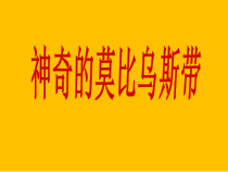 冀教版数学四年级下册《综合与实践》优质课PPT课件3