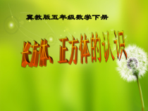 冀教版数学五年级下册《长方体和正方体的特征》课件PPT