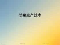甘薯生产技术课件