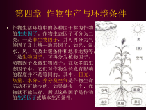 农作物生产与环境条件课件