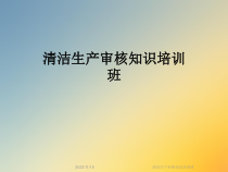 清洁生产审核知识培训班课件