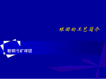 球团生产工艺课件_2