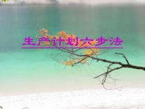 生产计划六步法课件