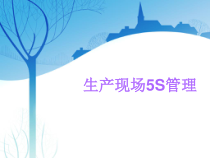 生产现场5S管理(100张幻灯片)课件
