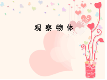 青岛版（五四制）数学二年级上册《信息窗（观察物体）》PPT课件