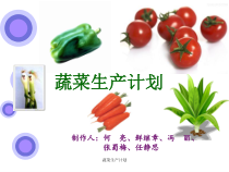 蔬菜生产计划课件