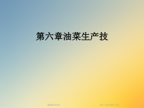 油菜生产技课件